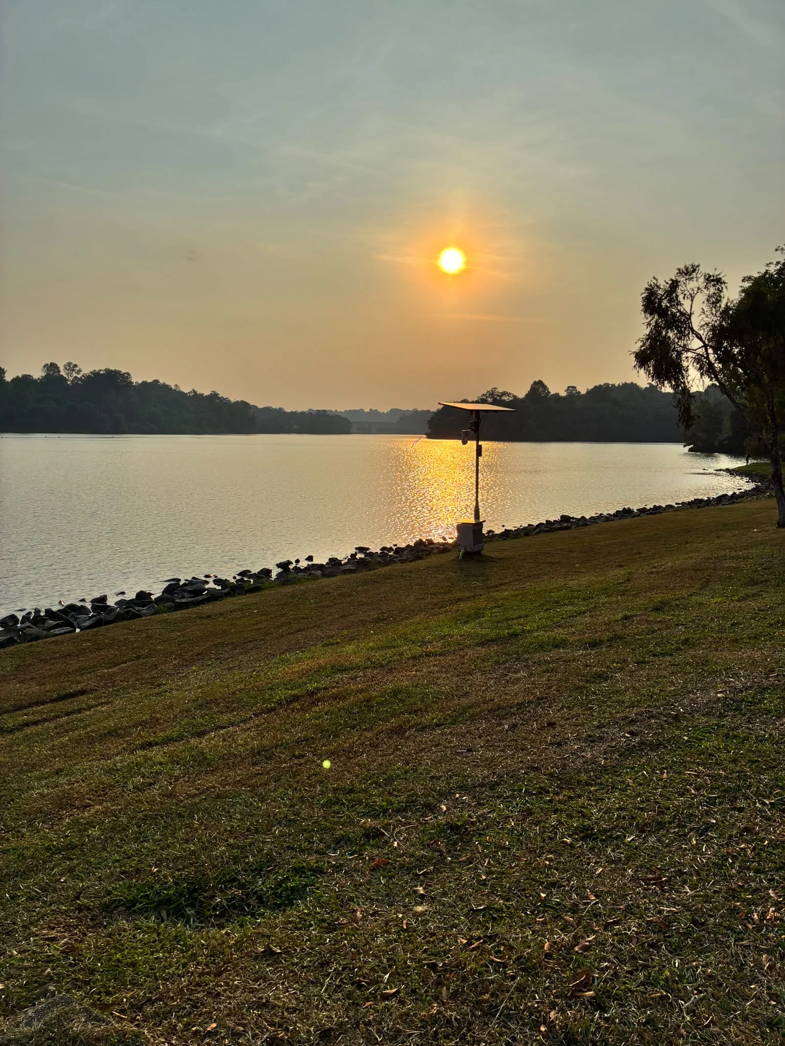 Warm sun over a calm reservoir with a grassy shoreline
