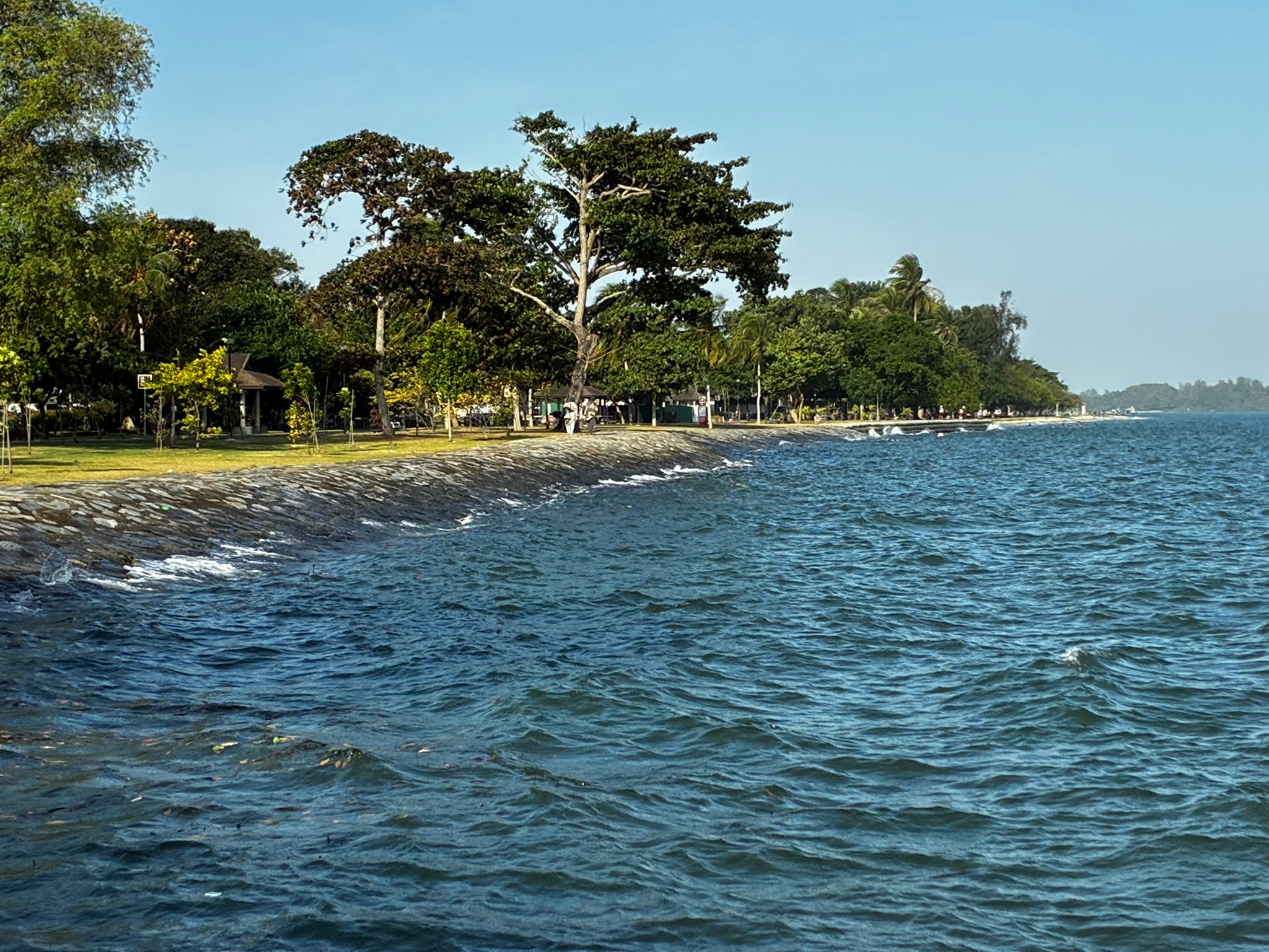 Coastal water and a tree-lined shore photographed by Low Cheng Jun